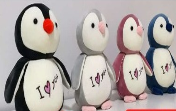 PINGUINO Y YOU 22CM