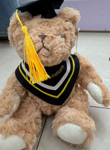 GRADUADO TEDDY 22CM