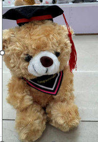 GRADUADO OSO CRESPO 22CM