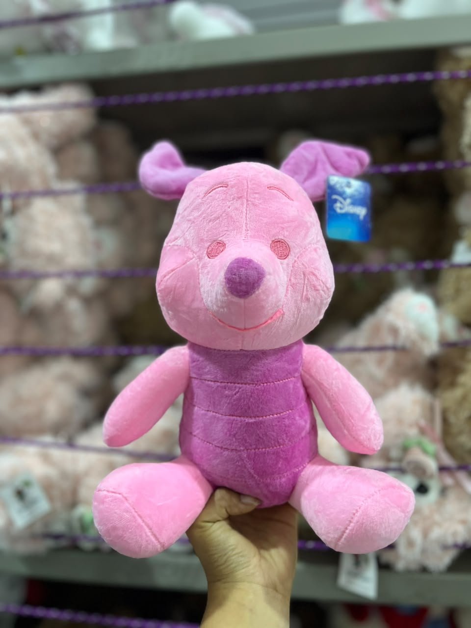 3483c743-6571-43cc-8004-d5455fe5552b PIGLES 30CM - Imagen 1